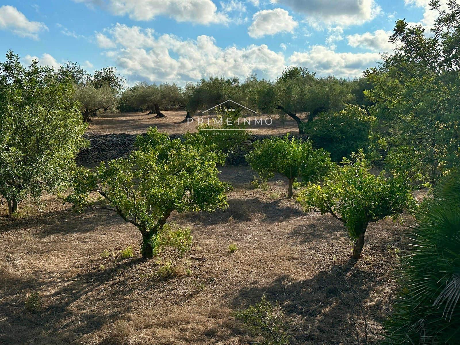 3 bedroom Villa for sale in El Perello with pool garage - € 360,000 (Ref: 9244479)