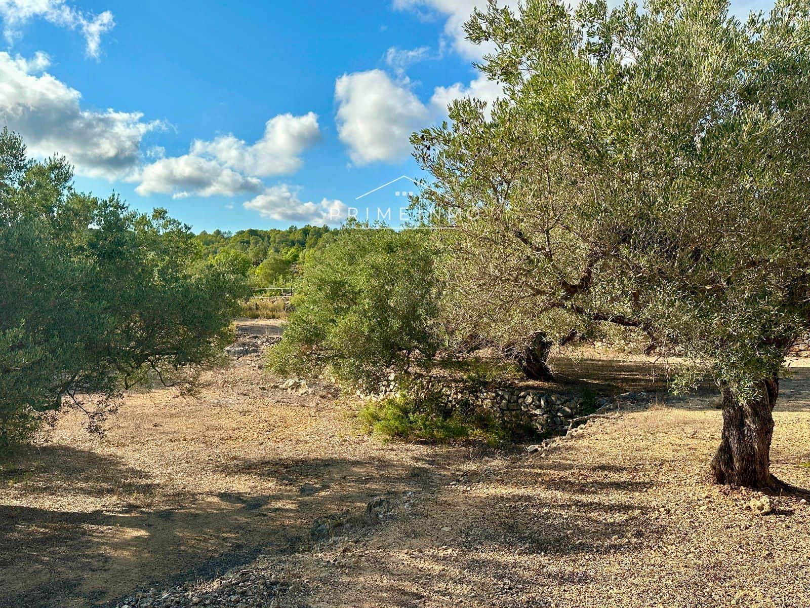 3 bedroom Villa for sale in El Perello with pool garage - € 360,000 (Ref: 9244479)