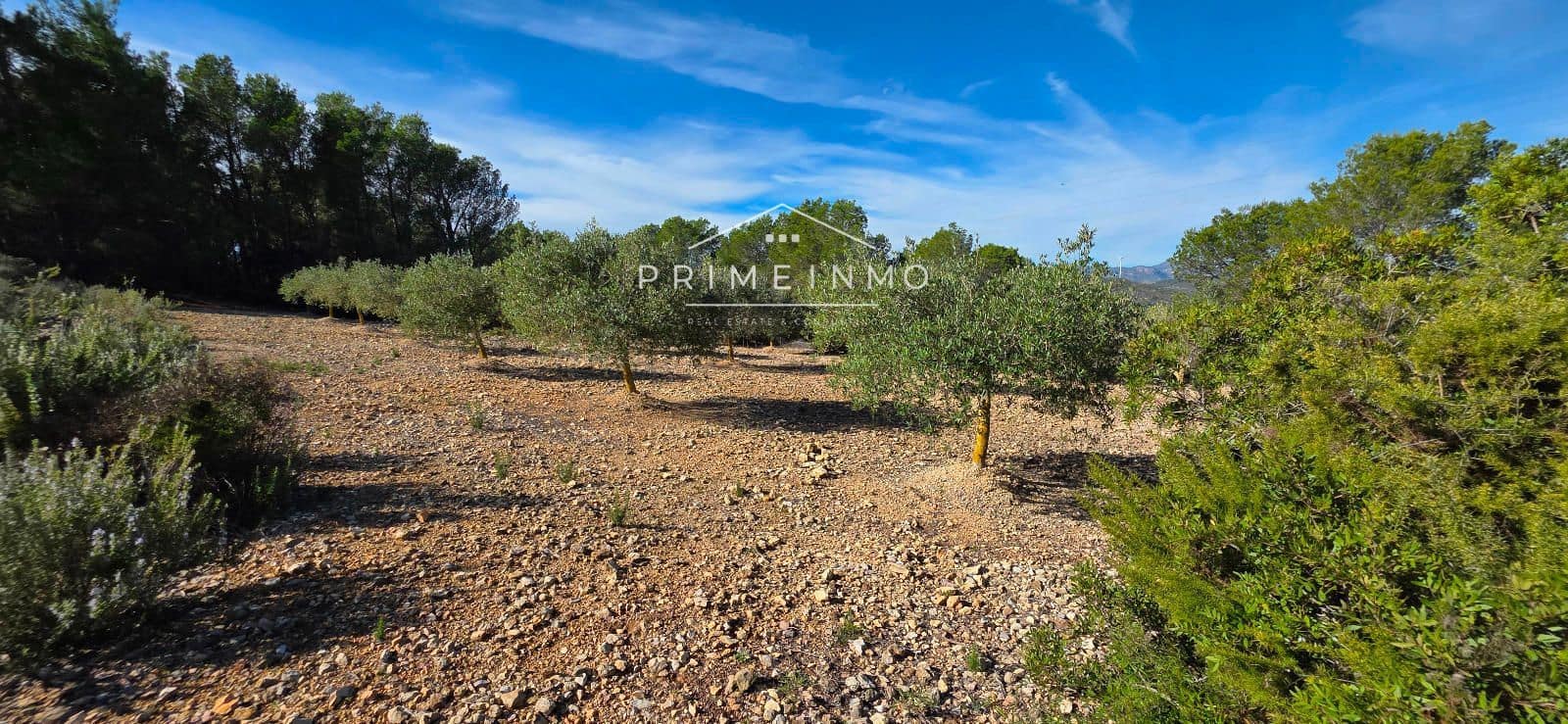 3 bedroom Villa for sale in El Perello - € 229,000 (Ref: 9415162)