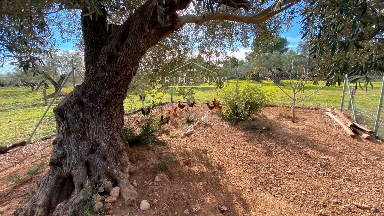 5 Zimmer Villa zu verkaufen in El Perello mit Pool Garage - 399.500 € (Ref: 9462845)