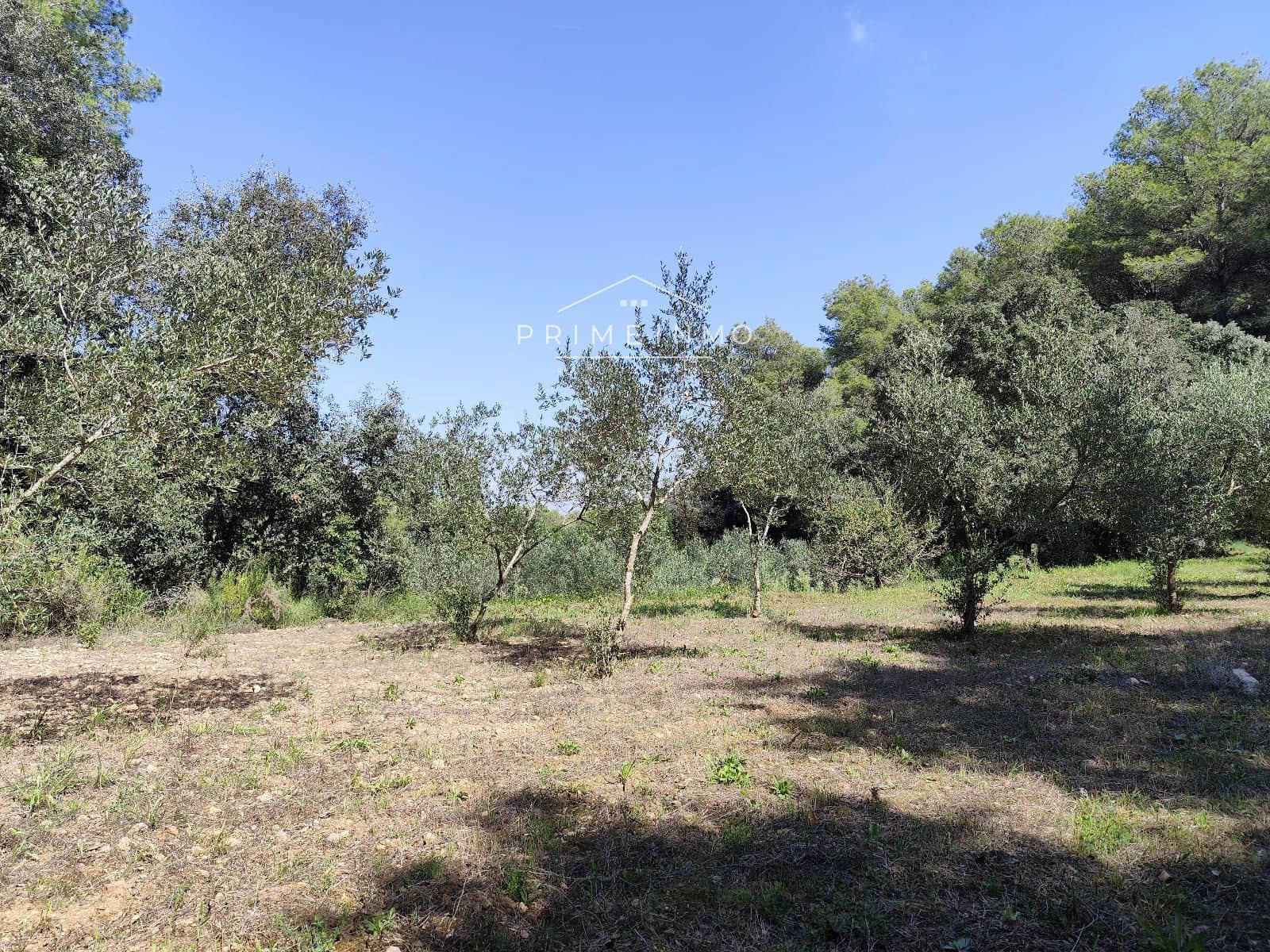 4 Zimmer Villa zu verkaufen in Castellet i la Gornal - 380.000 € (Ref: 9504685)