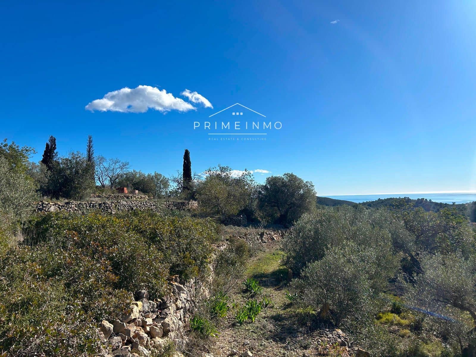 Terre non Aménagée à vendre à El Perello - 85 000 € (Ref: 9581278)