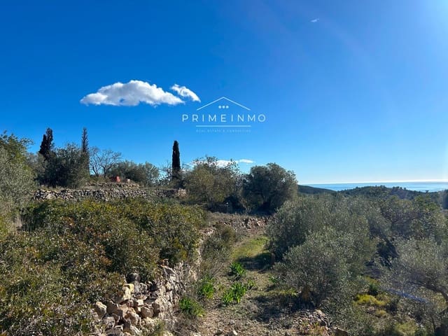 Terre non Aménagée à vendre à El Perelló - 85 000 € (Ref: 9581278)