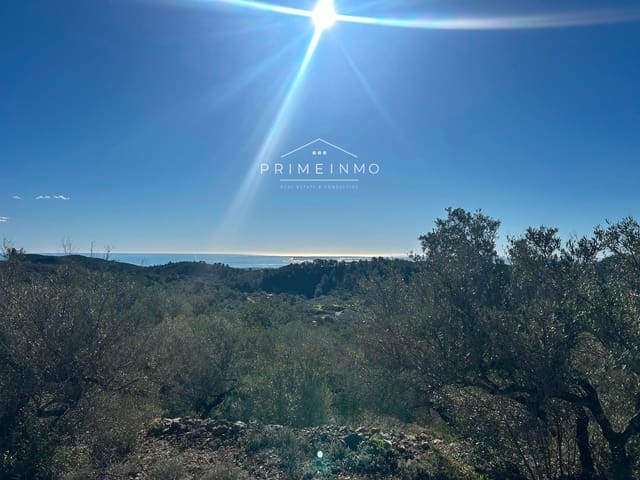 Terre non Aménagée à vendre à El Perelló - 85 000 € (Ref: 9581278)