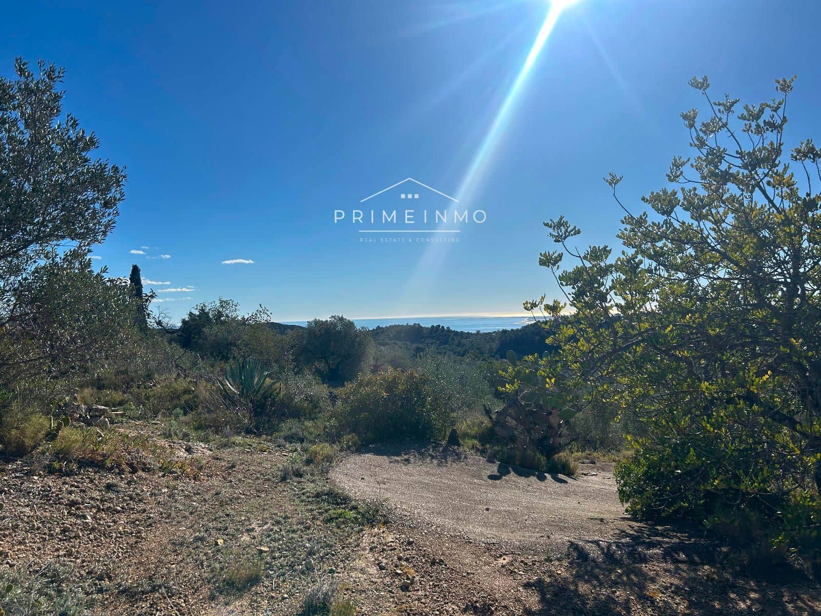 Terre non Aménagée à vendre à El Perello - 85 000 € (Ref: 9581278)