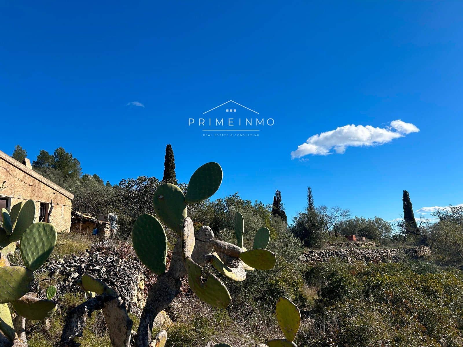 Terre non Aménagée à vendre à El Perello - 85 000 € (Ref: 9581278)