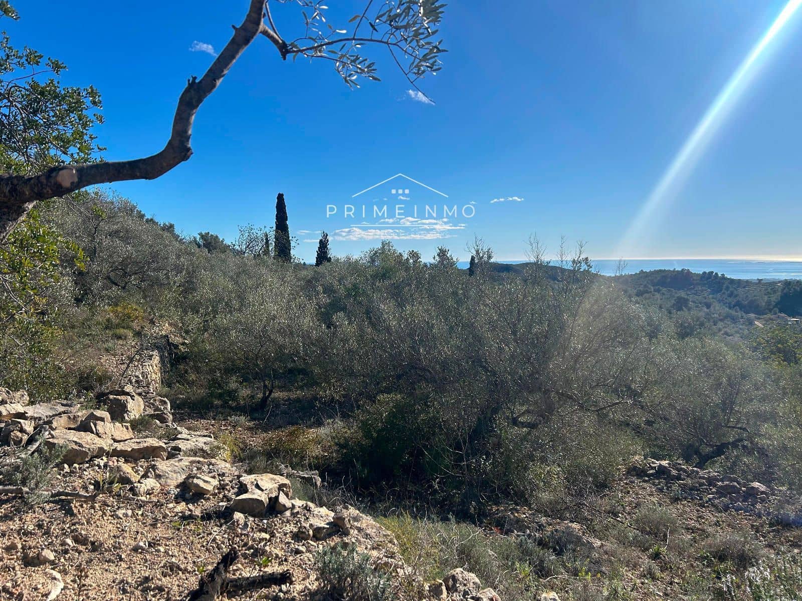 Terre non Aménagée à vendre à El Perello - 85 000 € (Ref: 9581278)