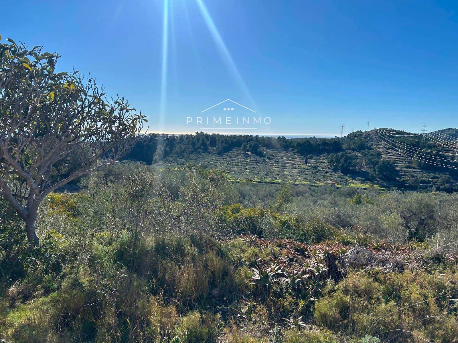 Terre non Aménagée à vendre à El Perello - 85 000 € (Ref: 9581278)