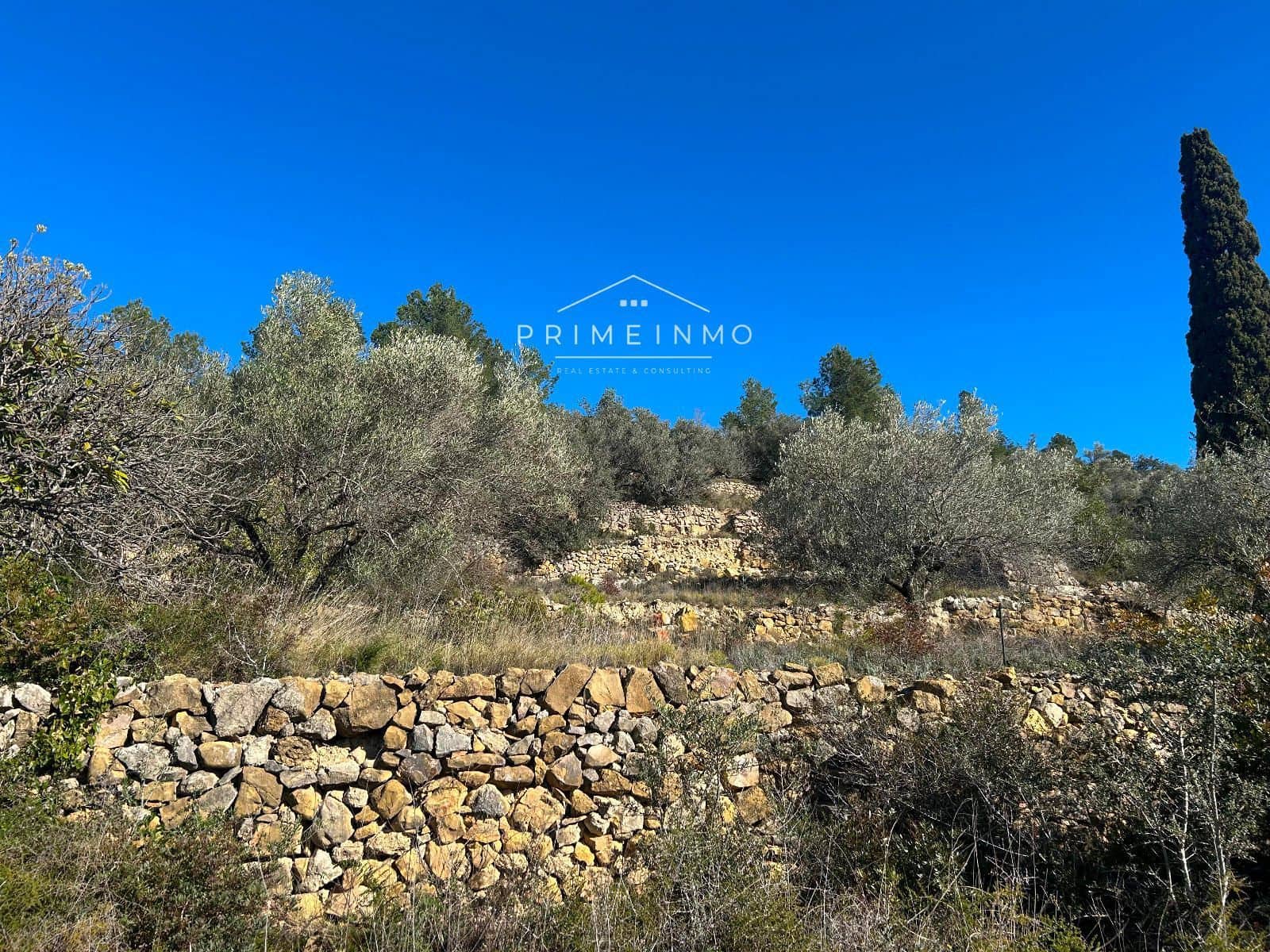 Terre non Aménagée à vendre à El Perello - 85 000 € (Ref: 9581278)