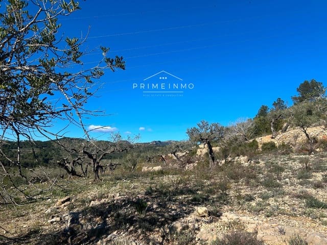 Terre non Aménagée à vendre à El Perelló - 85 000 € (Ref: 9581278)