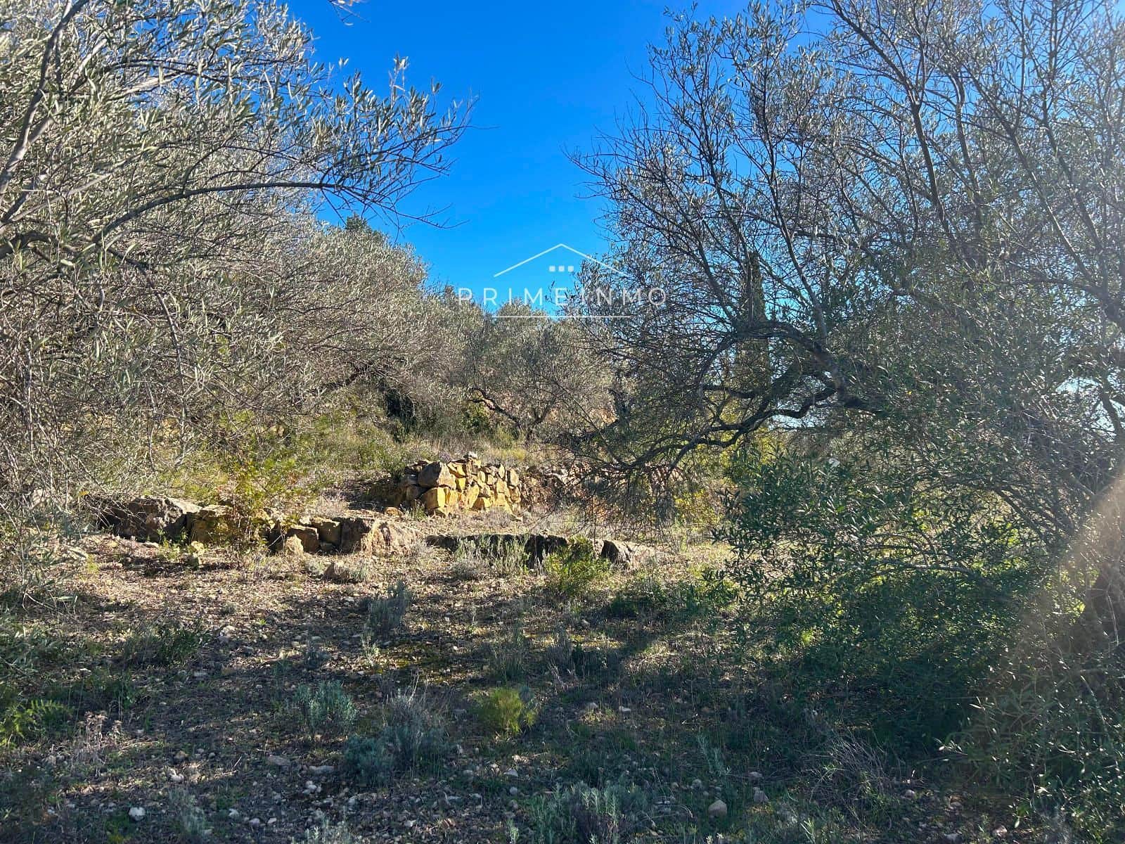 Terre non Aménagée à vendre à El Perello - 85 000 € (Ref: 9581278)