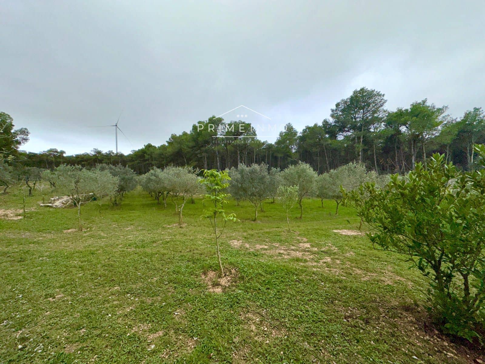 2 bedroom Villa for sale in El Perello with pool - € 245,000 (Ref: 9708175)