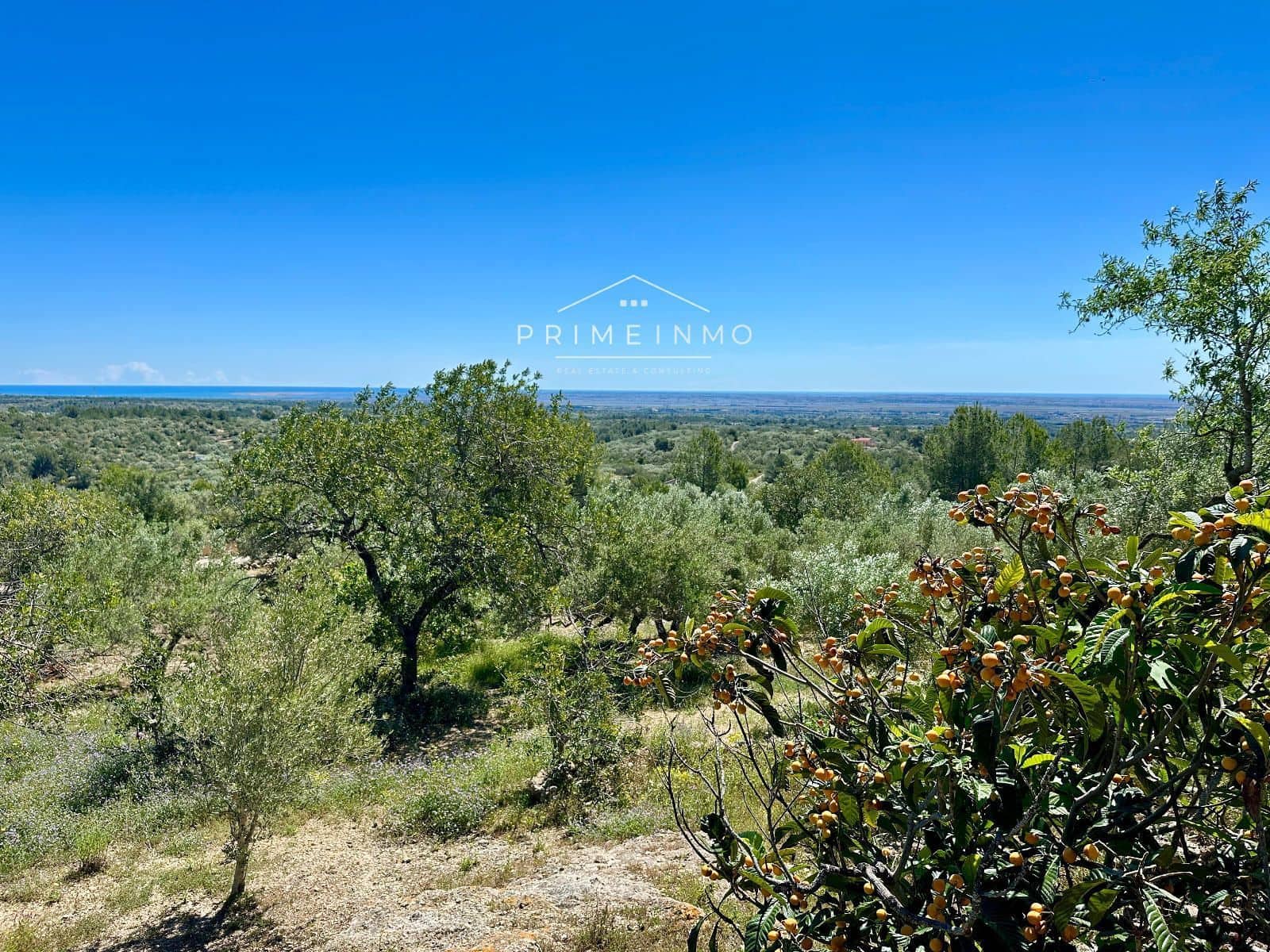 5 bedroom Villa for sale in Tortosa with pool - € 409,000 (Ref: 9819339)