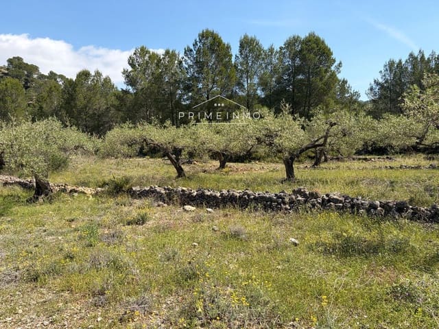 Mark till salu i L'Ametlla de Mar - 39 000 € (Ref: 9850154)