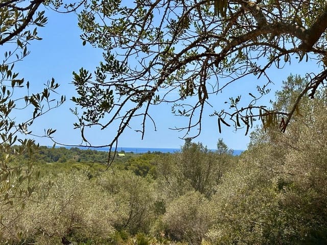 Villa til salgs i L'Ametlla de Mar - € 165 000 (Ref: 9935214)