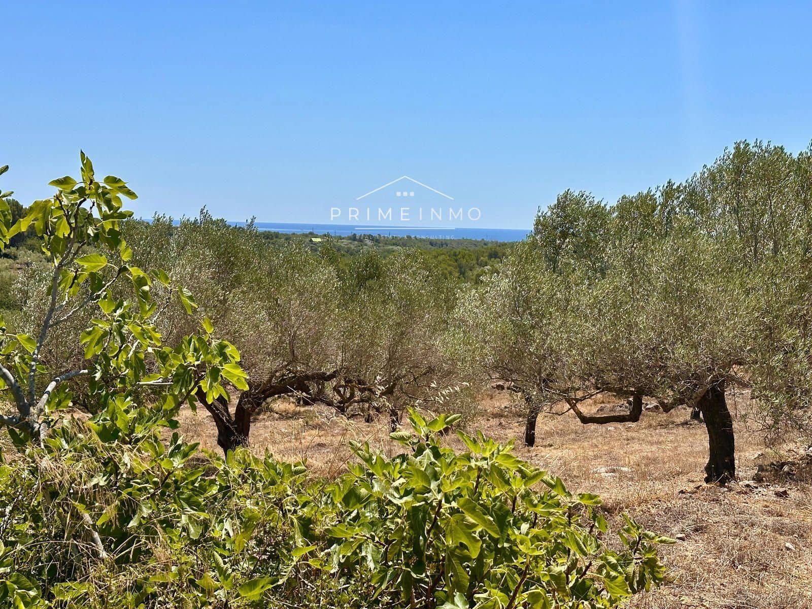 Villa til salgs i L'Ametlla de Mar - € 165 000 (Ref: 9935214)