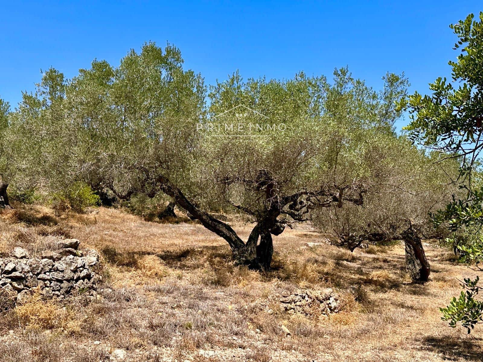 Villa til salgs i L'Ametlla de Mar - € 165 000 (Ref: 9935214)