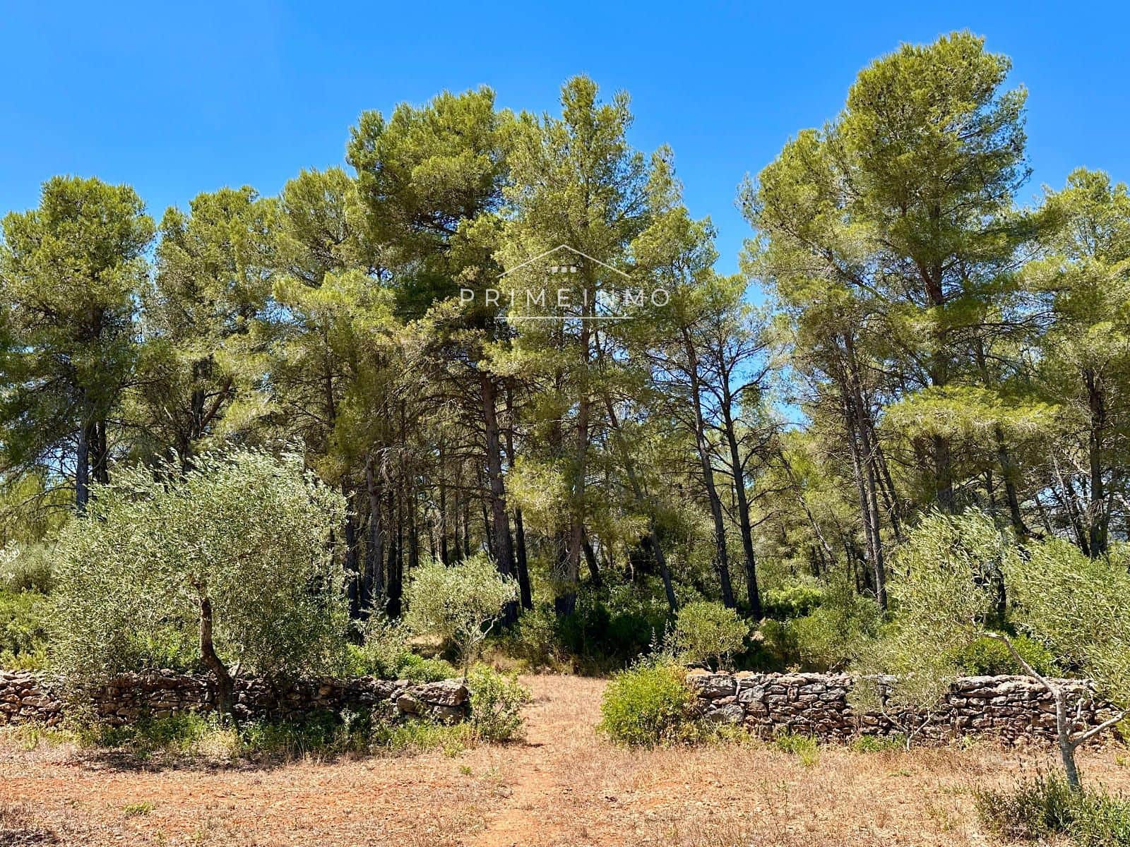 1 bedroom Villa for sale in El Perello with pool - € 215,000 (Ref: 9961721)