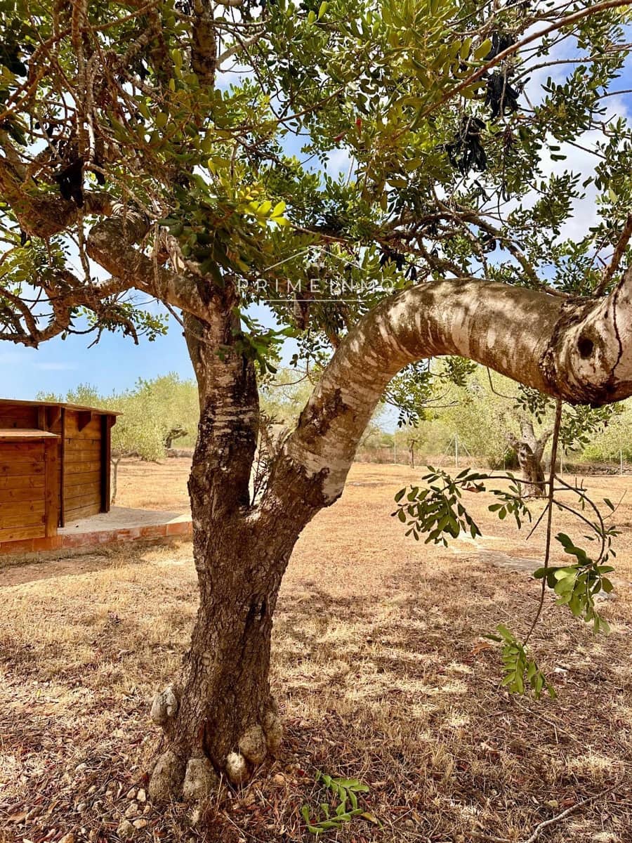 3 sovrum Villa till salu i El Perello med pool - 209 000 € (Ref: 9984068)
