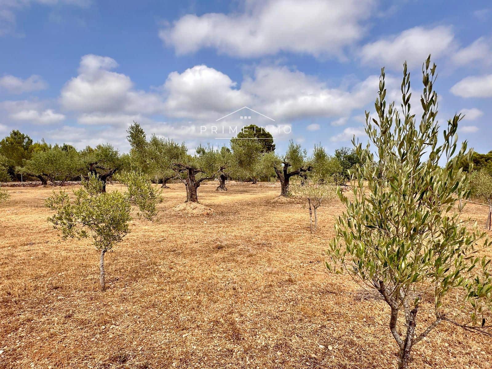 3 sovrum Villa till salu i El Perello med pool - 209 000 € (Ref: 9984068)