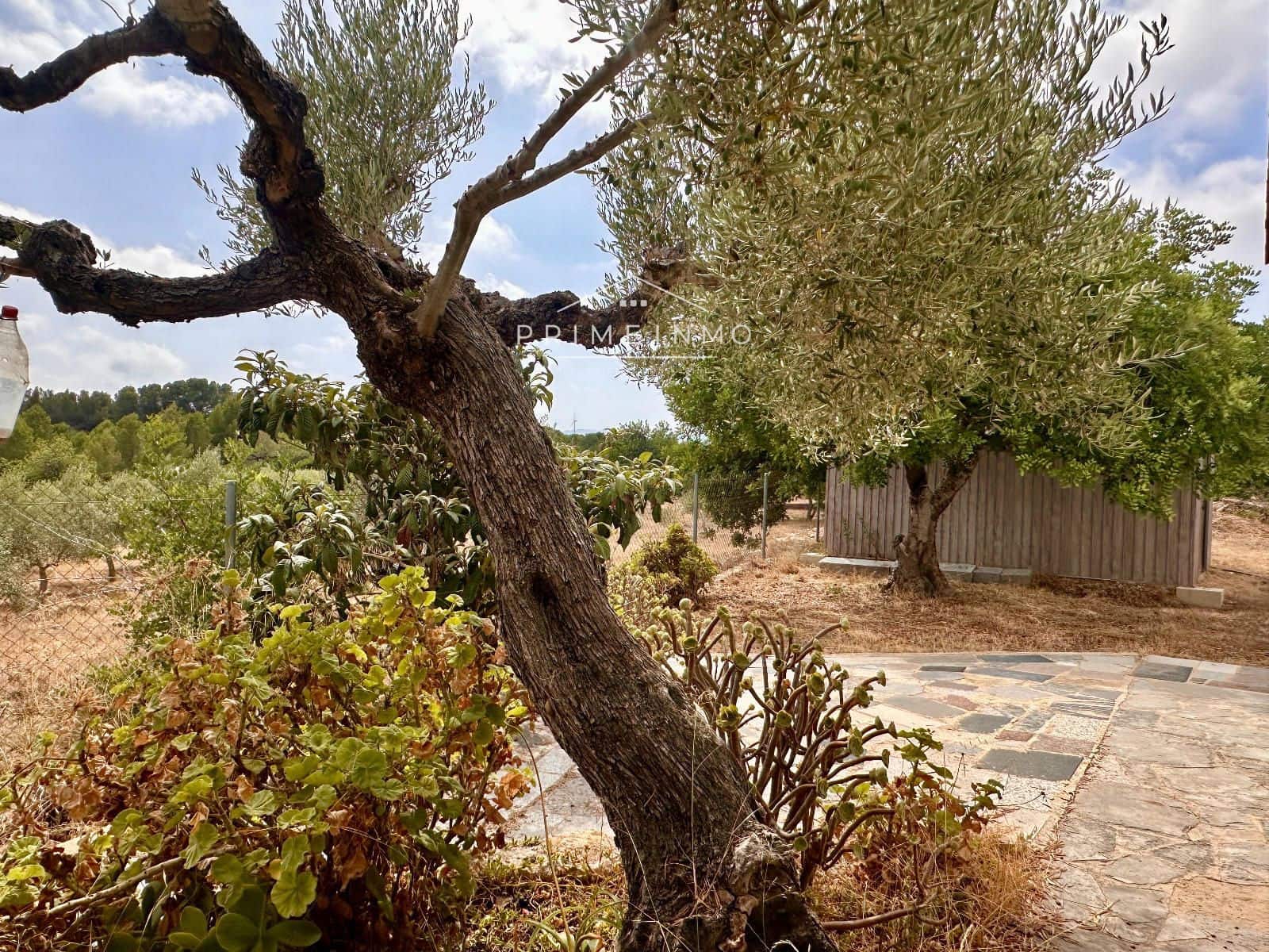 3 sovrum Villa till salu i El Perello med pool - 209 000 € (Ref: 9984068)