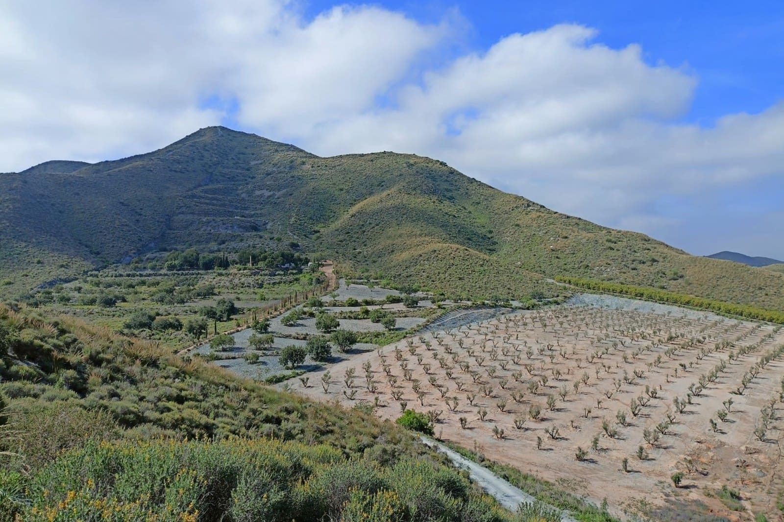 4 soveværelse Villa til salg i La Aljorra med swimmingpool - € 500.000 (Ref: 8996296)