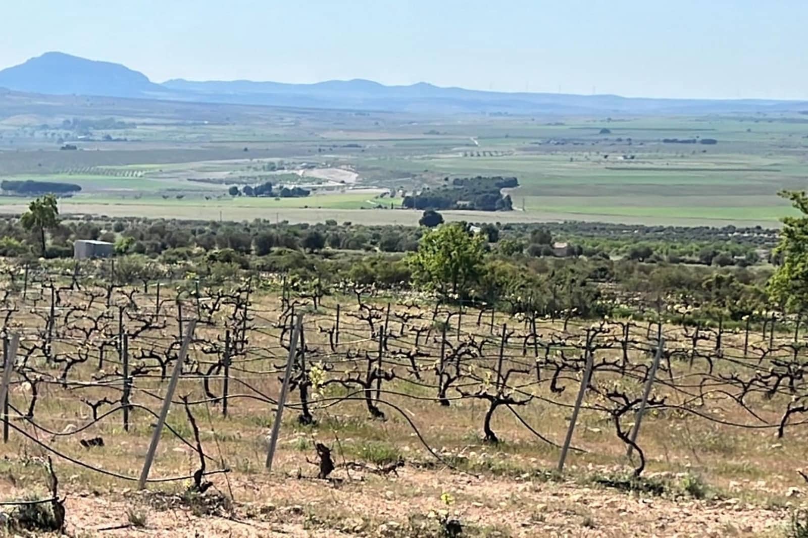 6 makuuhuone Huvila myytävänä paikassa Yecla mukana uima-altaan - 800 000 € (Ref: 9195034)