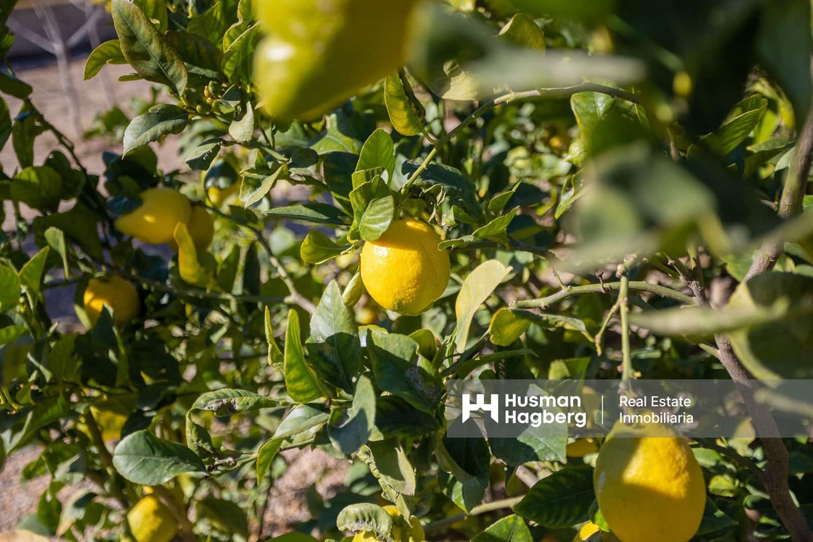 4 sovrum Villa till salu i Corvera med pool - 205 000 € (Ref: 9404544)