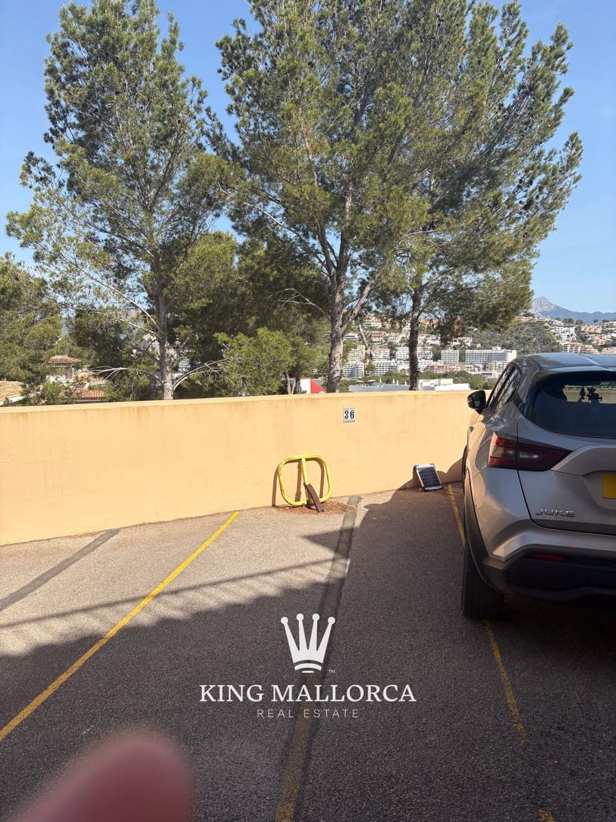 1 soverom Leilighet til leie i Calvia med svømmebasseng garasje - € 1 850 (Ref: 9807642)