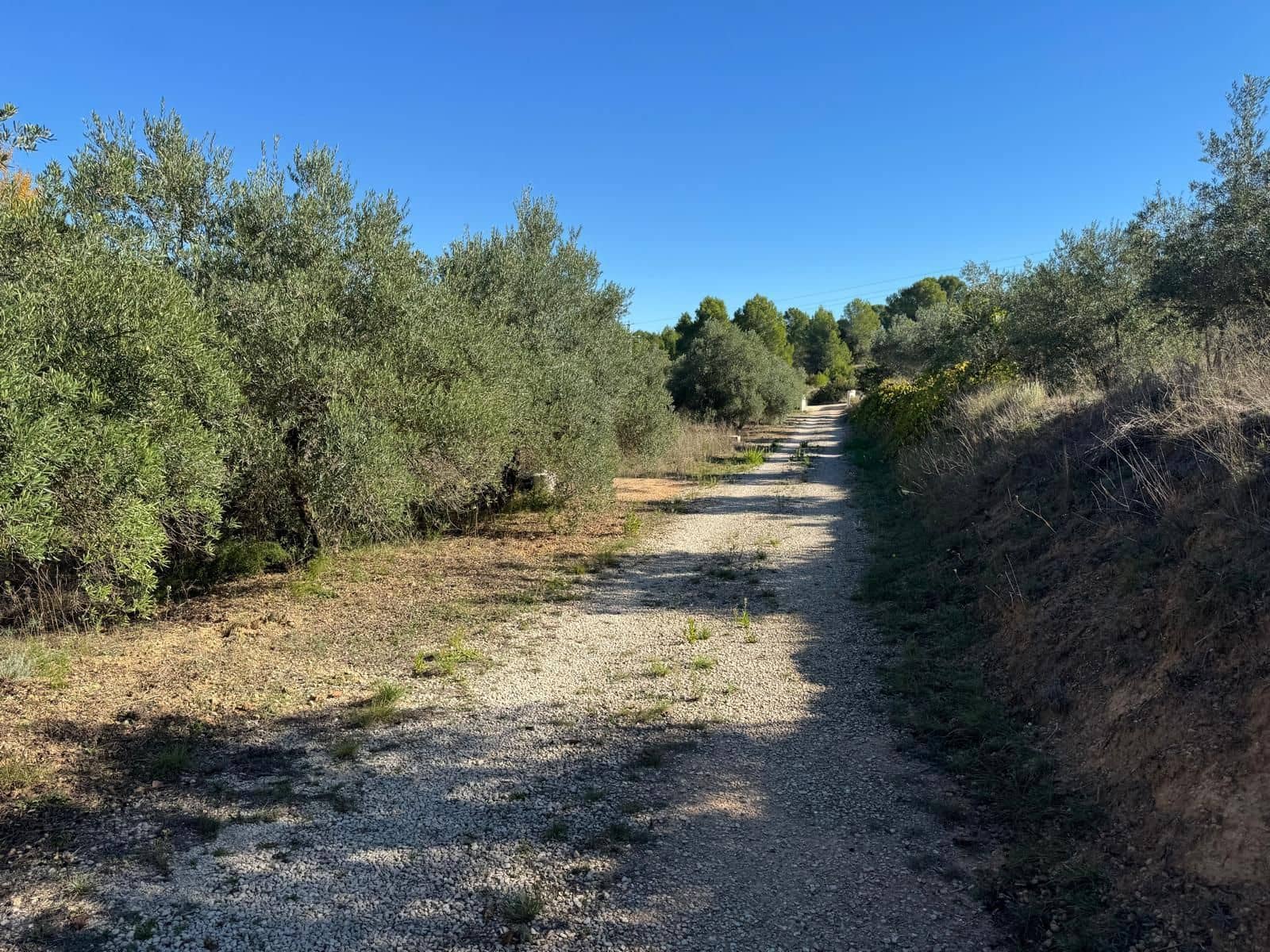 Chalet de 3 habitaciones en Ontinyent en venta con piscina garaje - 195.000 € (Ref: 10155796)
