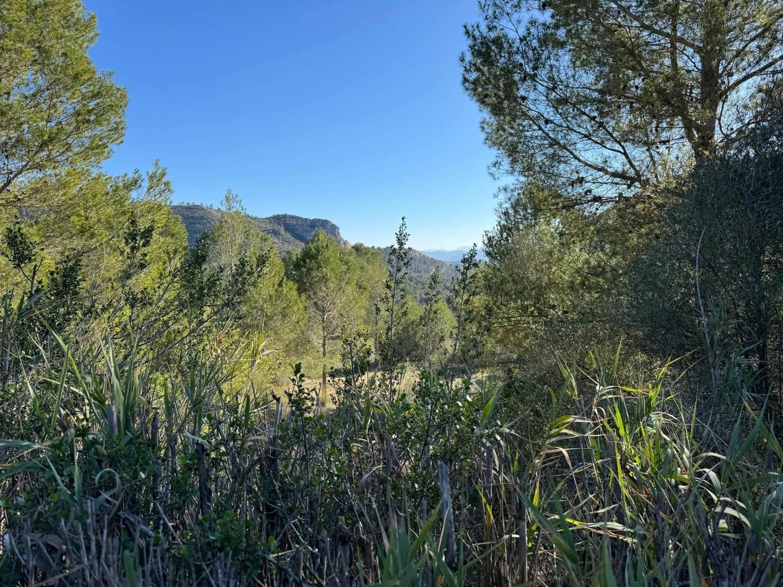 3 bedroom Villa for sale in Xativa with garage - € 275,000 (Ref: 10155802)