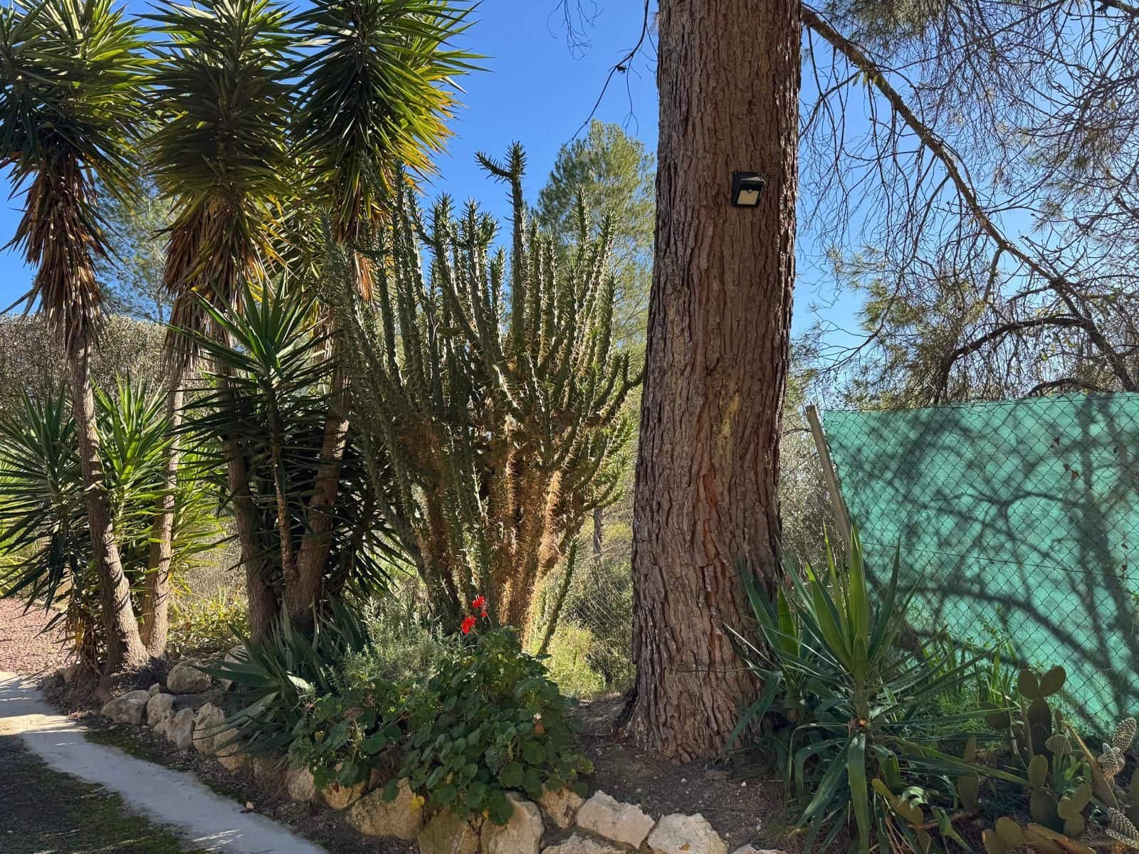 3 bedroom Villa for sale in Xativa with garage - € 275,000 (Ref: 10155802)