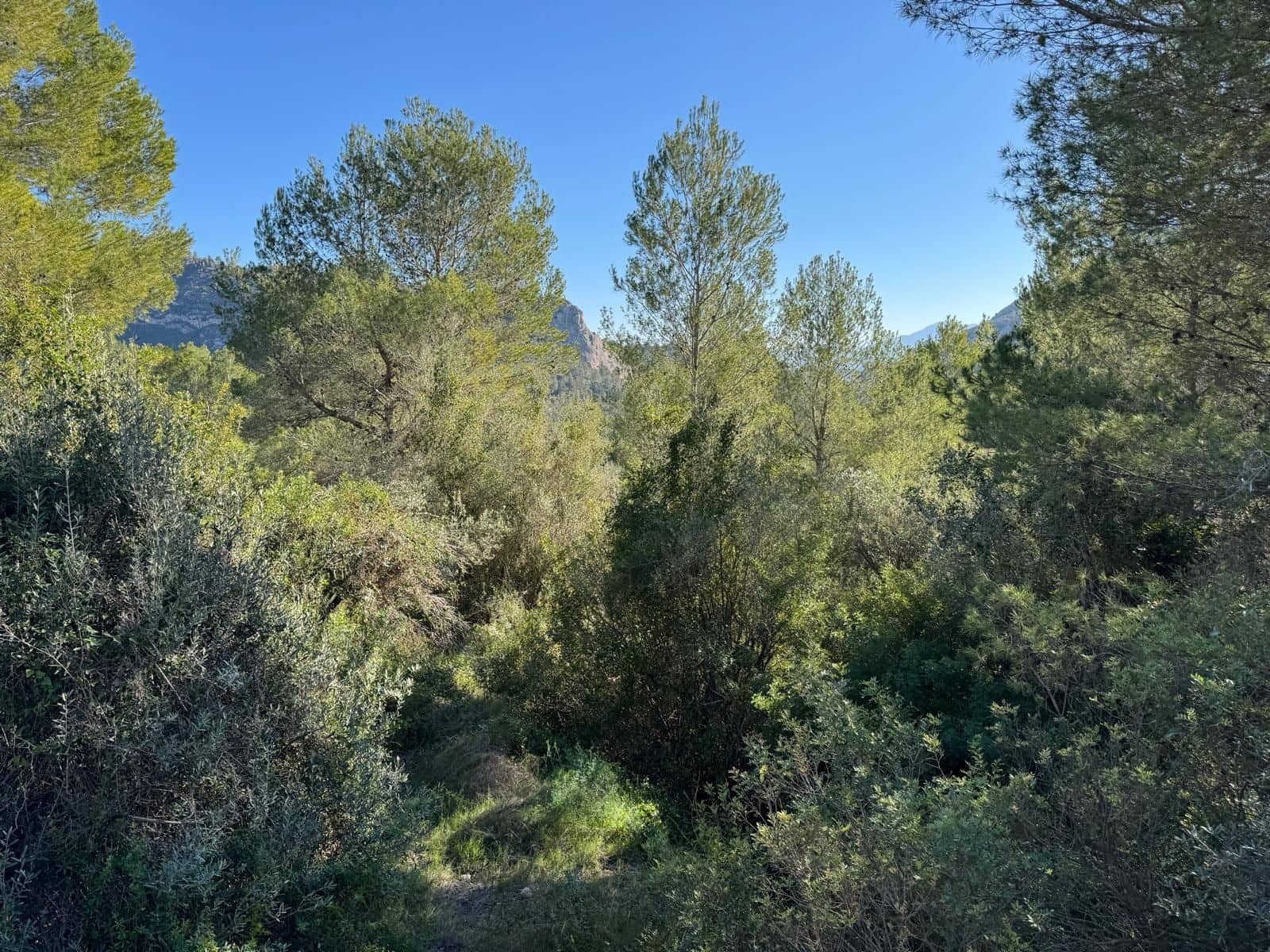 3 bedroom Villa for sale in Xativa with garage - € 275,000 (Ref: 10155802)
