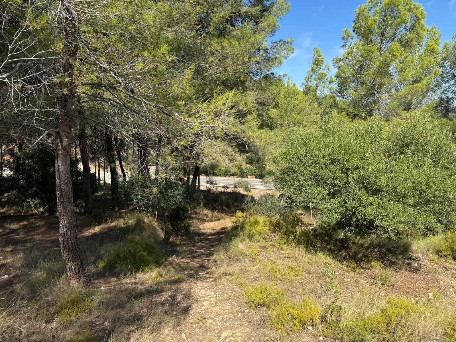 Undeveloped Land for sale in Rotgla i Corbera - € 35,000 (Ref: 9585465)