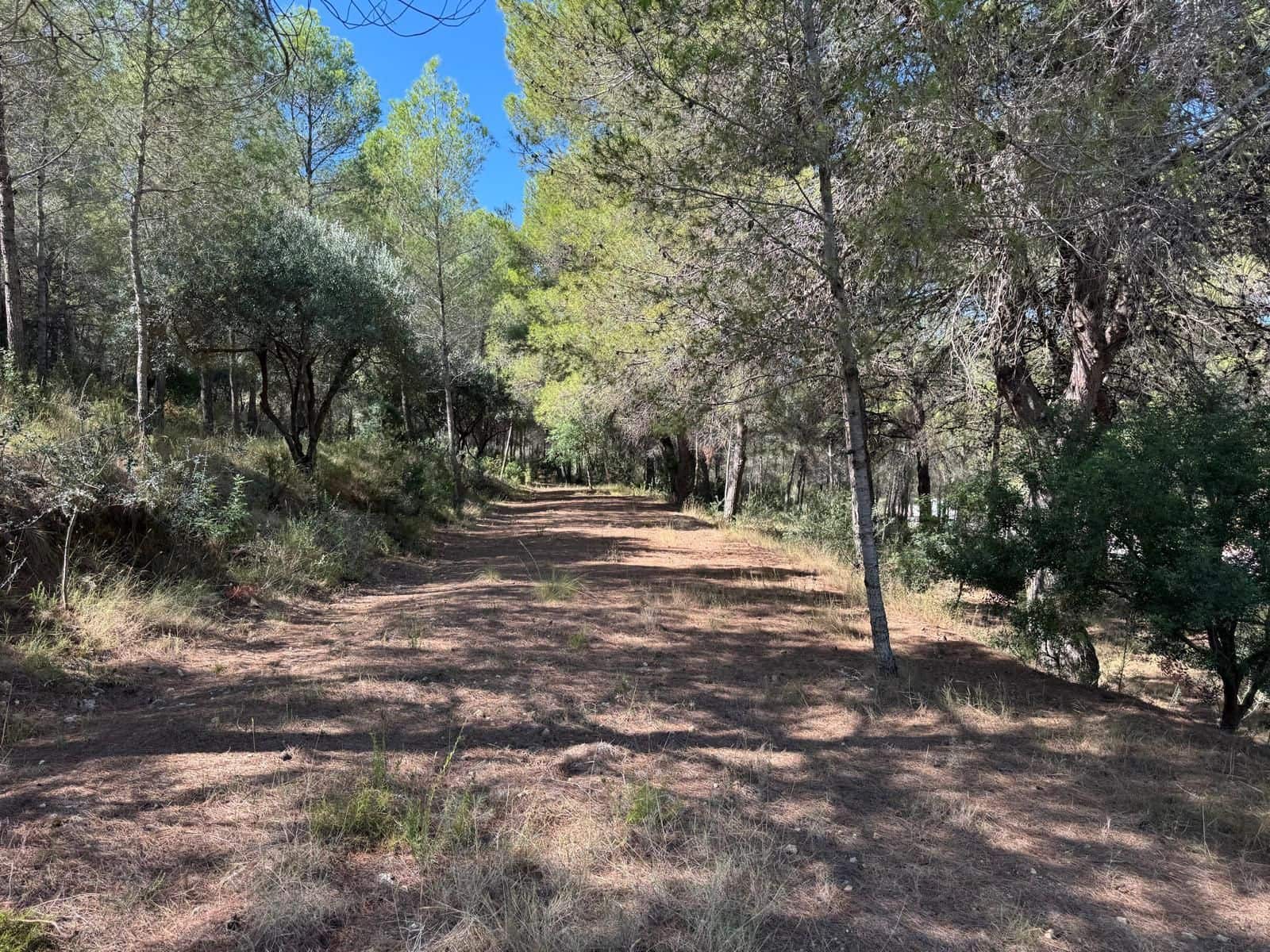 Undeveloped Land for sale in Rotgla i Corbera - € 35,000 (Ref: 9585465)