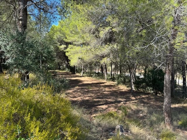 Grunde uden byggetilladelser til salg i Rotglà i Corbera - € 35.000 (Ref: 9585465)