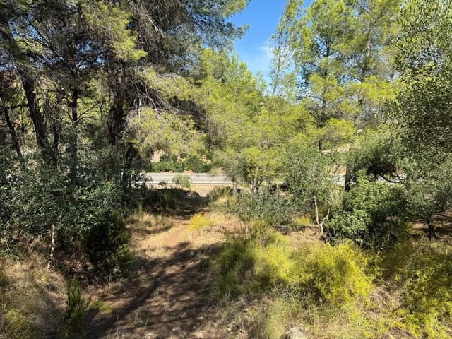 Grunde uden byggetilladelser til salg i Rotglà i Corbera - € 35.000 (Ref: 9585465)
