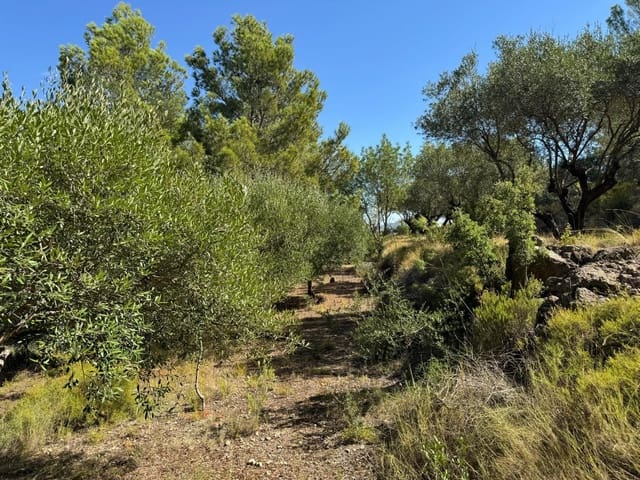 Grunde uden byggetilladelser til salg i Rotglà i Corbera - € 35.000 (Ref: 9585465)