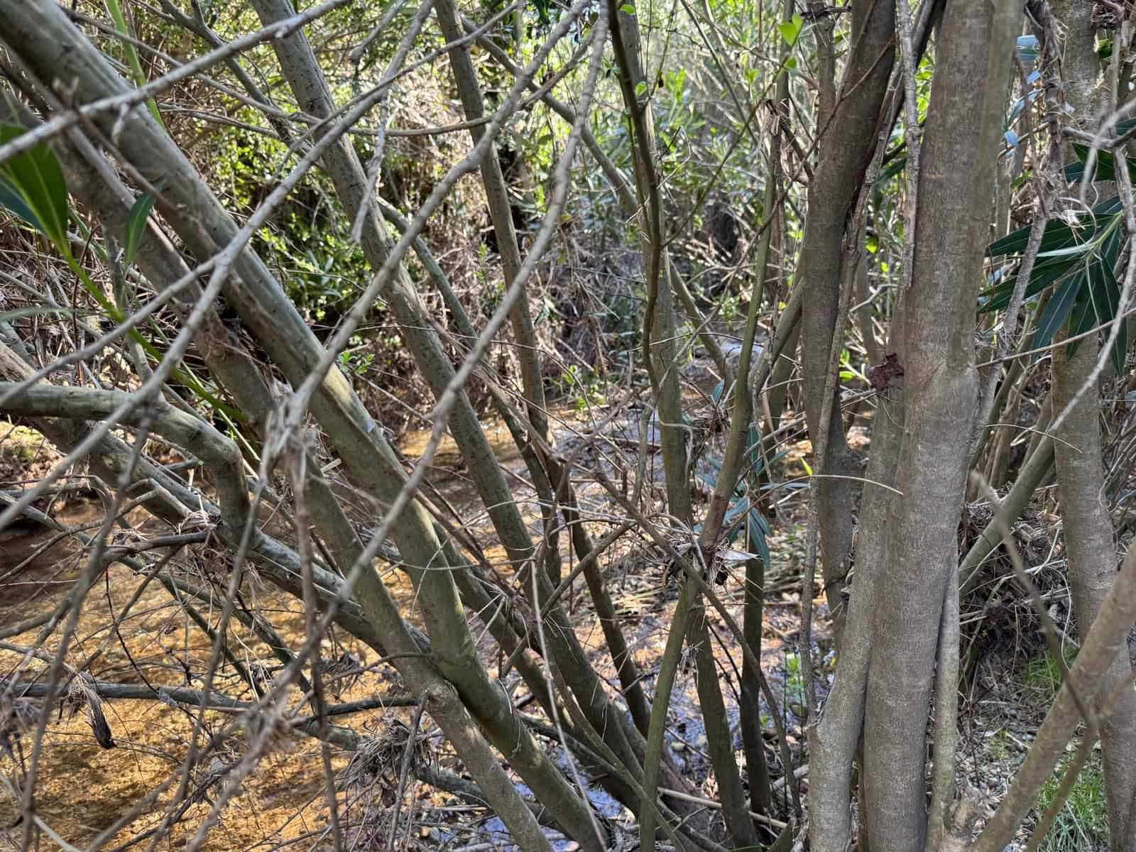 2 bedroom Villa for sale in Barxeta with garage - € 95,000 (Ref: 9604602)