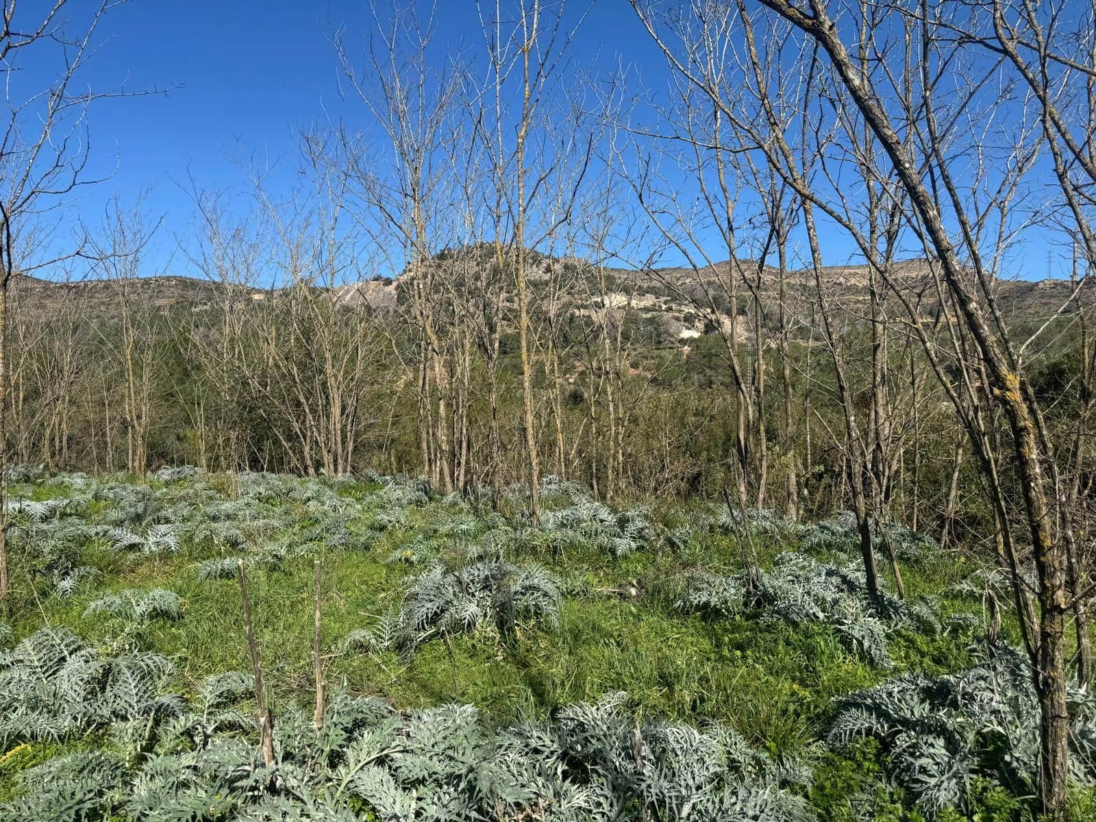 2 bedroom Villa for sale in Barxeta with garage - € 95,000 (Ref: 9604602)