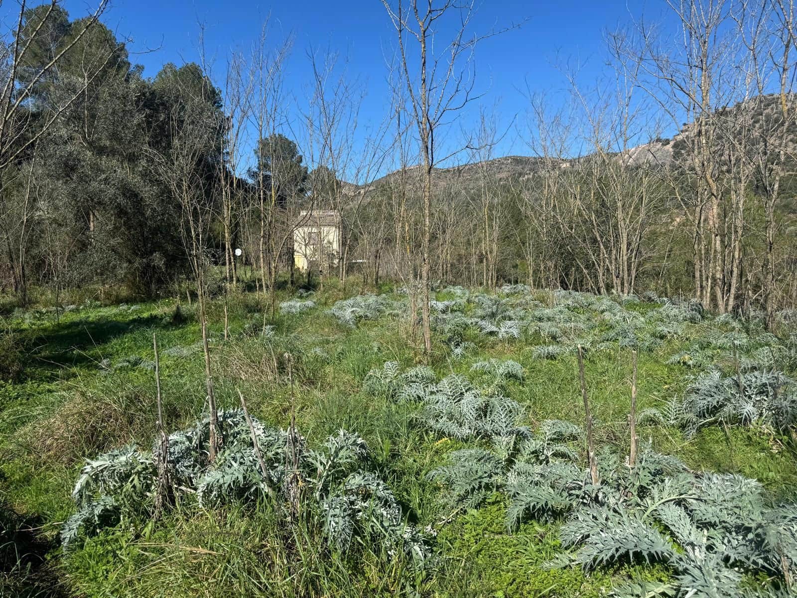 2 bedroom Villa for sale in Barxeta with garage - € 95,000 (Ref: 9604602)