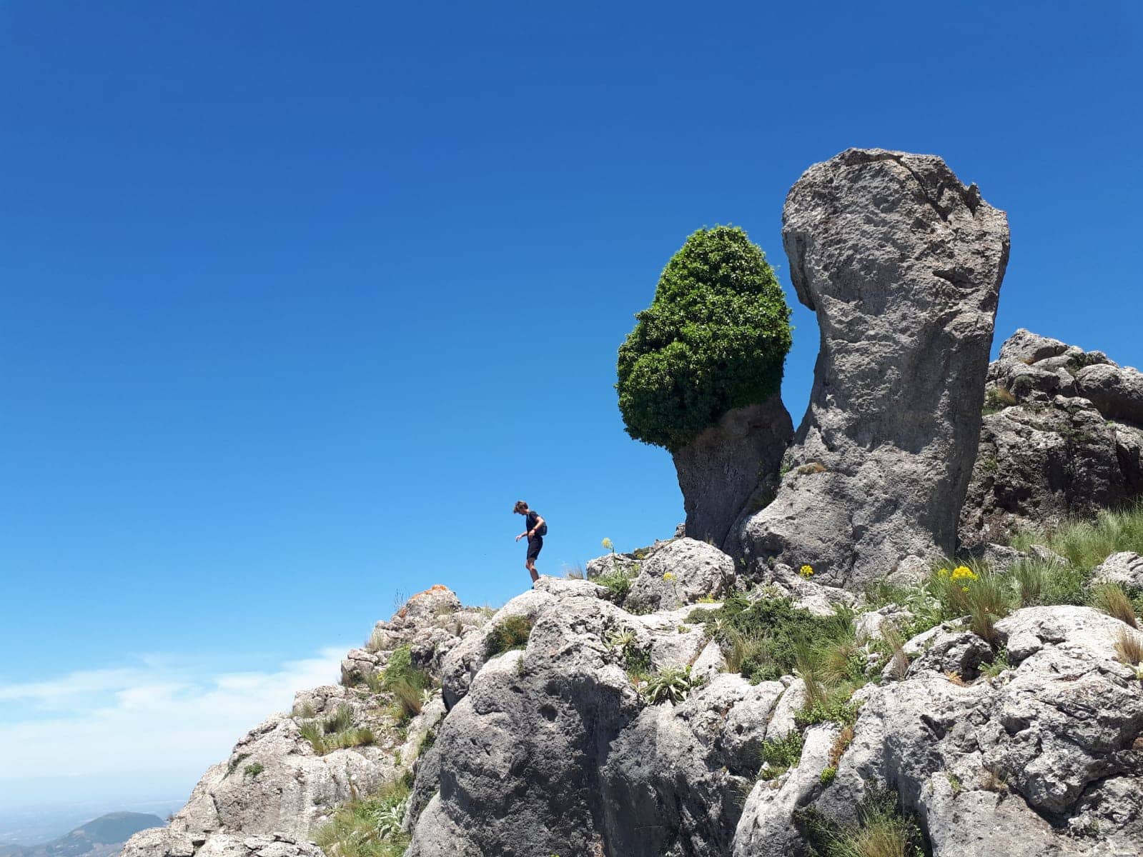 8 makuuhuone Majatalo/aamiaismajoitus myytävänä paikassa Carcabuey mukana uima-altaan - 350 000 € (Ref: 7352345)