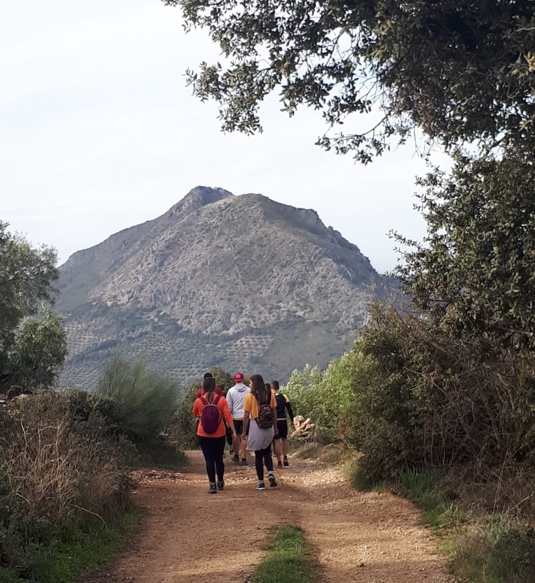 8 makuuhuone Majatalo/aamiaismajoitus myytävänä paikassa Carcabuey mukana uima-altaan - 350 000 € (Ref: 7352345)