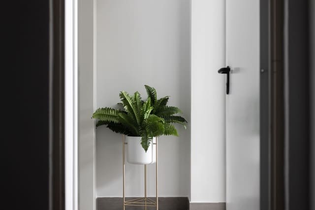 3 chambre Maison de Ville à vendre à El Moncayo, Guardamar del Segura avec piscine - 289 000 € (Ref: 7349593)