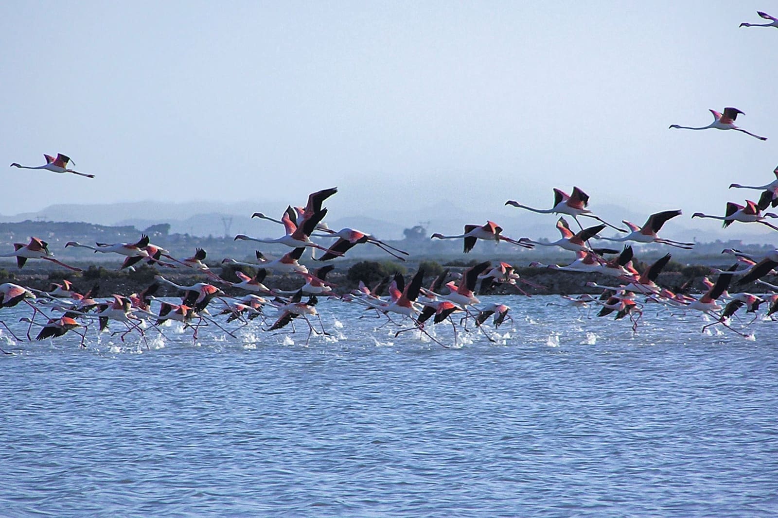 3 chambre Appartement à vendre à Gran Alacant avec piscine - 405 000 € (Ref: 8425111)