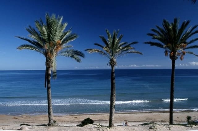 3 chambre Appartement à vendre à Pilar de la Horadada ciudad, Pilar de la Horadada avec piscine - 270 000 € (Ref: 8901450)