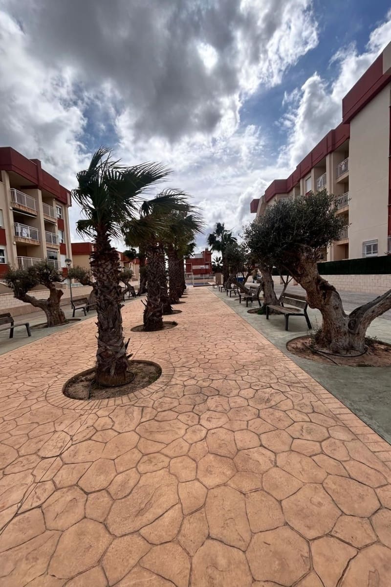 2 sovrum Lägenhet till salu i Orihuela Costa med pool - 202 500 € (Ref: 8932982)