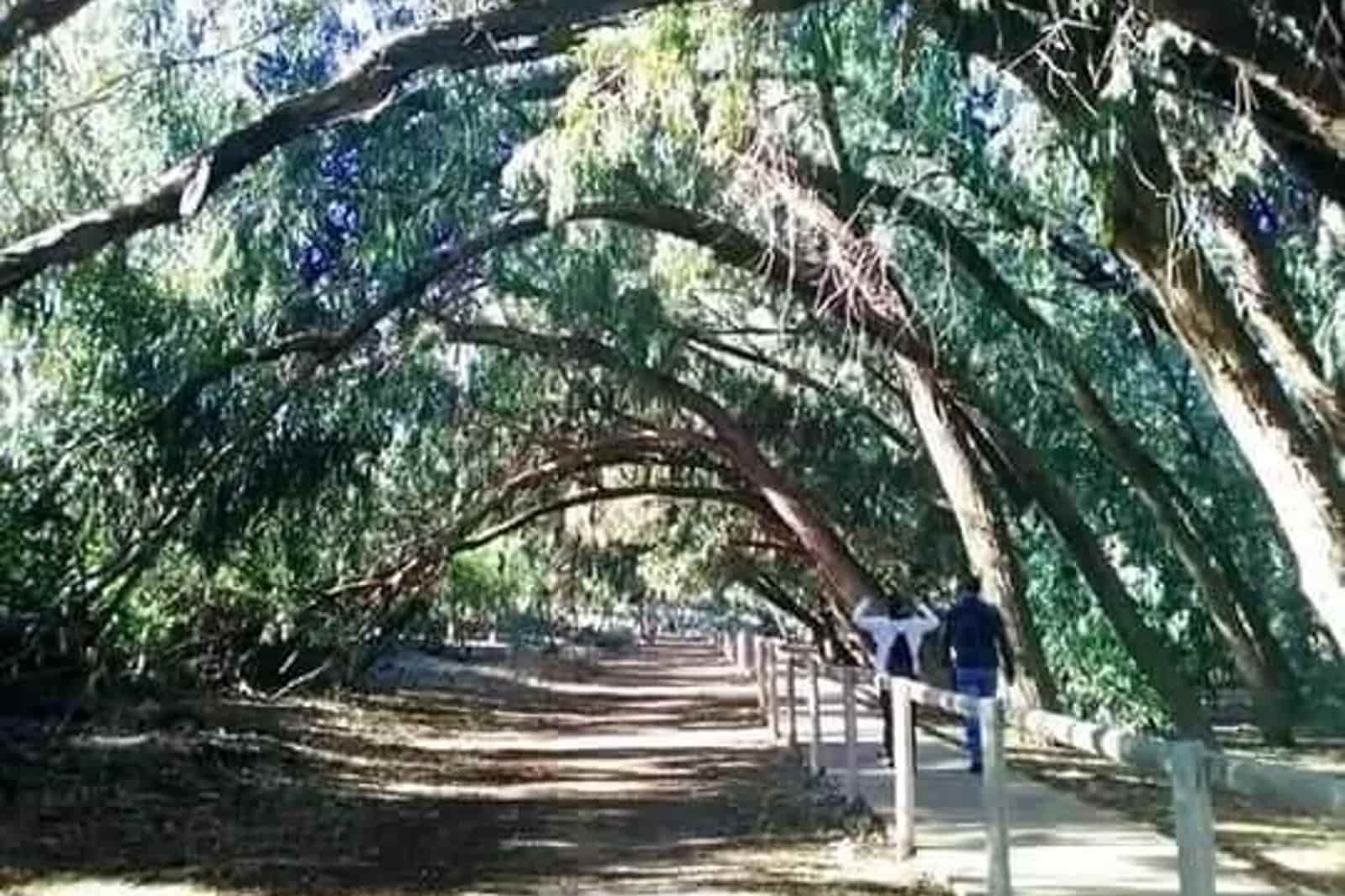 3 makuuhuone Huoneisto myytävänä paikassa Torrevieja mukana uima-altaan - 286 700 € (Ref: 8951015)