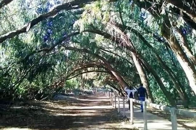 3 makuuhuone Huoneisto myytävänä paikassa Aguas Nuevas, Torrevieja mukana uima-altaan - 286 700 € (Ref: 8951015)