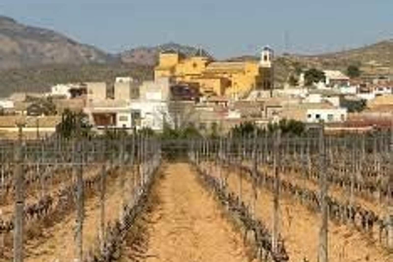 3 slaapkamer Huis te koop in Hondon de las Nieves - € 320.000 (Ref: 9043983)